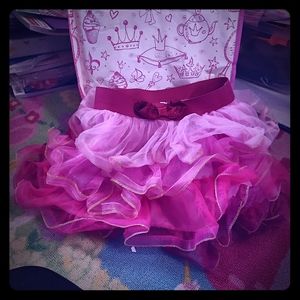 💗 Fancy Nancy Blossom Pink Skirt 💗